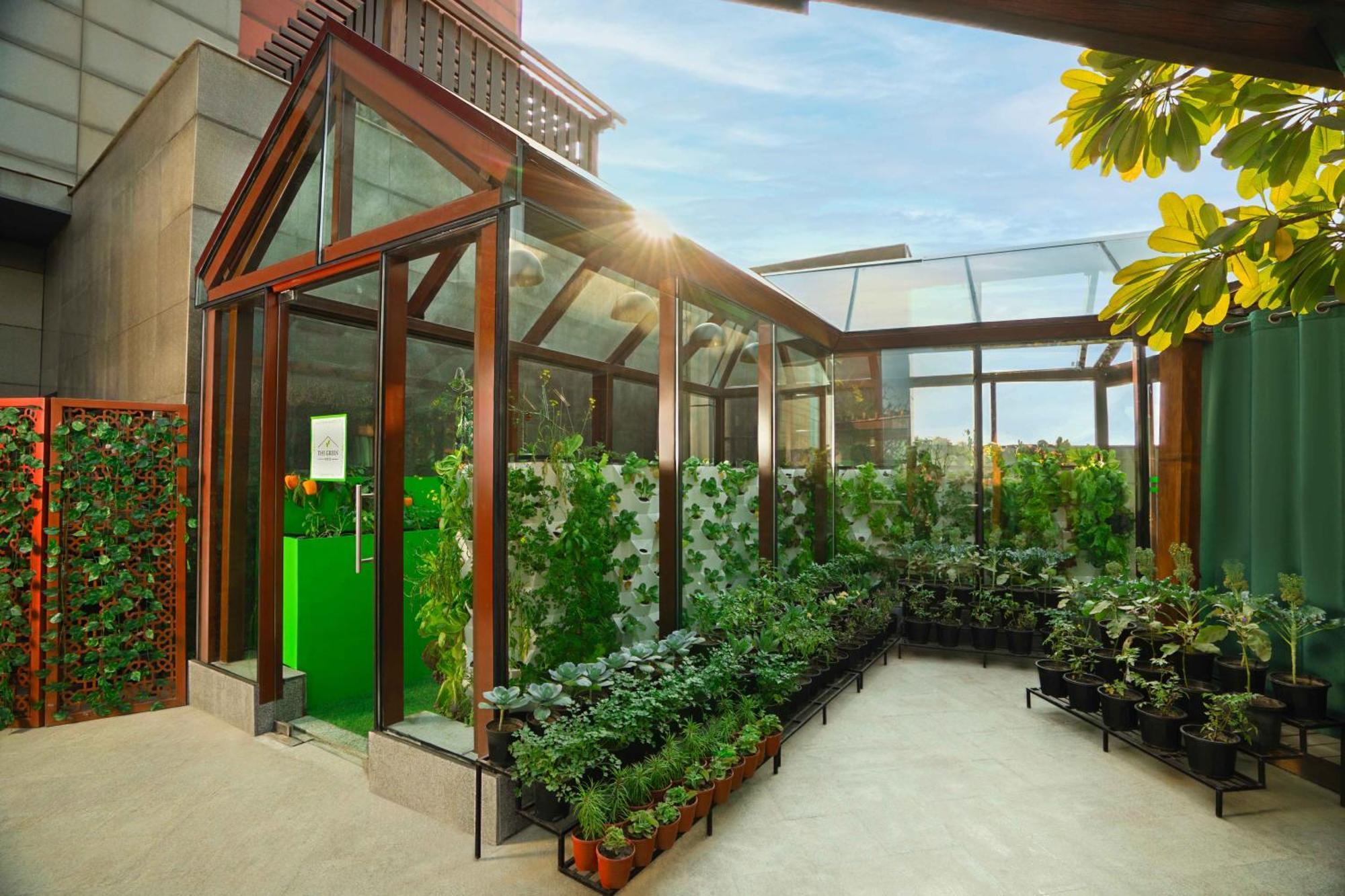 里拉安姆比尔古尔冈酒店及公寓 外观 照片 The rooftop greenhouse